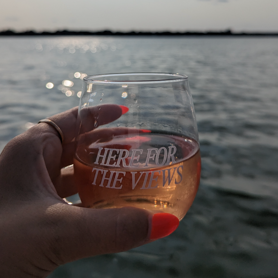 HERE FOR THE VIEWS Recycled Plastic Wine Glass